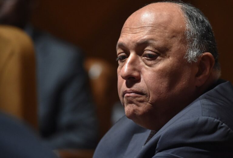 Egyptian FM: Arabs need to unite in face of challenges