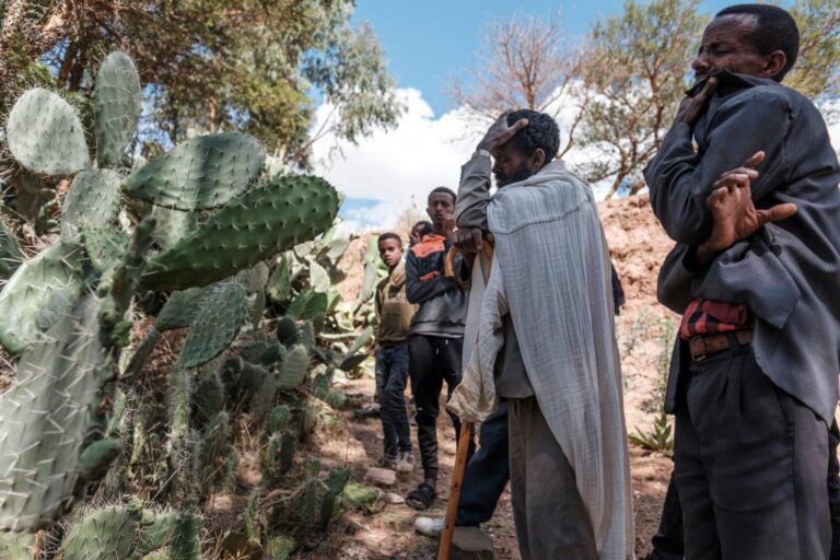 UN to investigate war crimes in Ethiopia