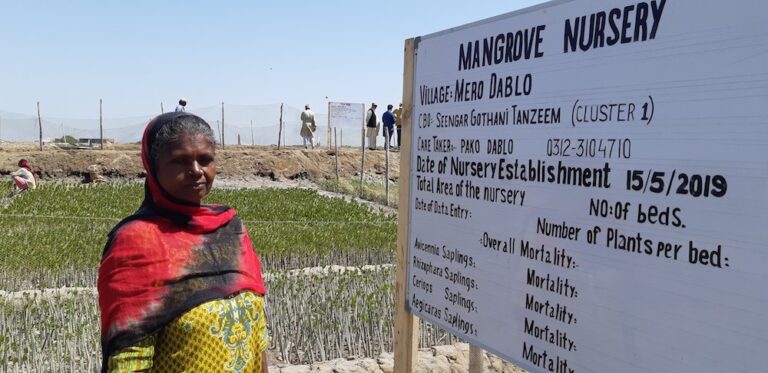 Female rangers guard world’s largest arid mangrove forest in Pakistan