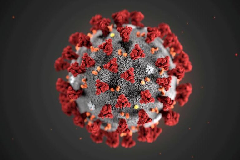 Existing COVID vaccines may protect against Brazilian variant-Oxford study