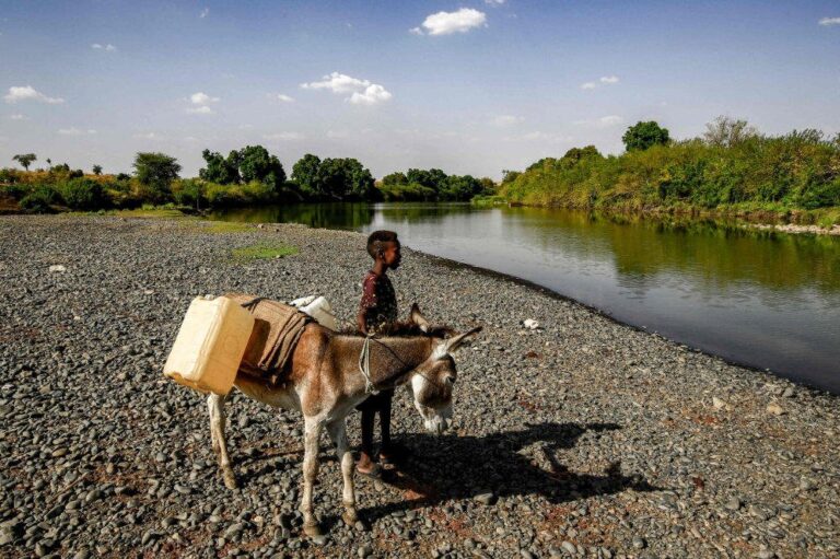 Fashaqa flashpoint: Sudanese dream of reclaiming fertile land