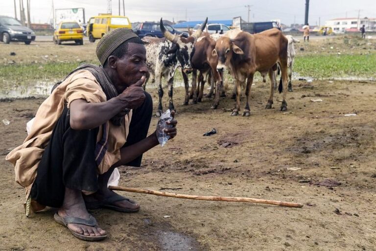 26.5 million Nigerian children lack access to water: UNICEF