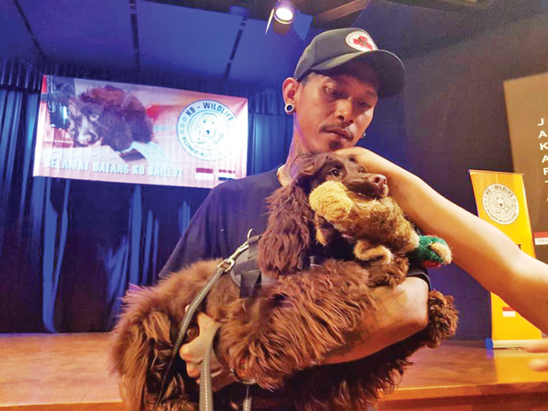 Sniffer dogs giving their two scents to detect smuggled wildlife