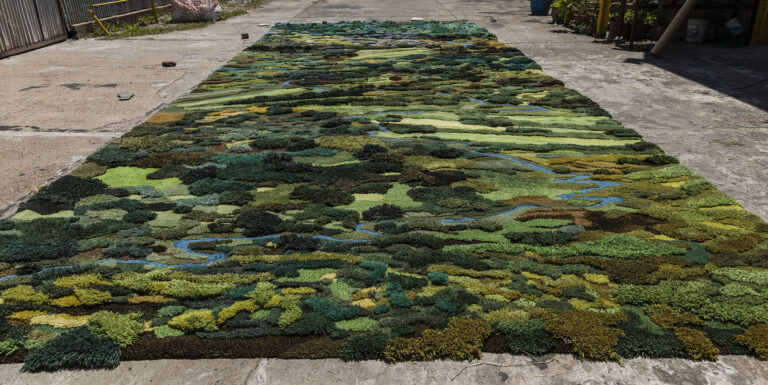 Lush Tufted Tapestries Document Ecological Changes in Argentina’s Landscapes