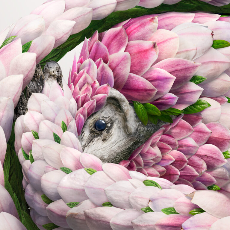 Meticulous Digital Works Layer Petals, Leaves, and Natural Textures into Fantastic Creatures