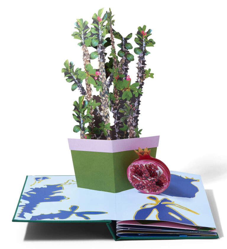 Six Quirky Houseplants Made from Collaged Photos Spring from a Pop-Up Book by Daniel Gordon