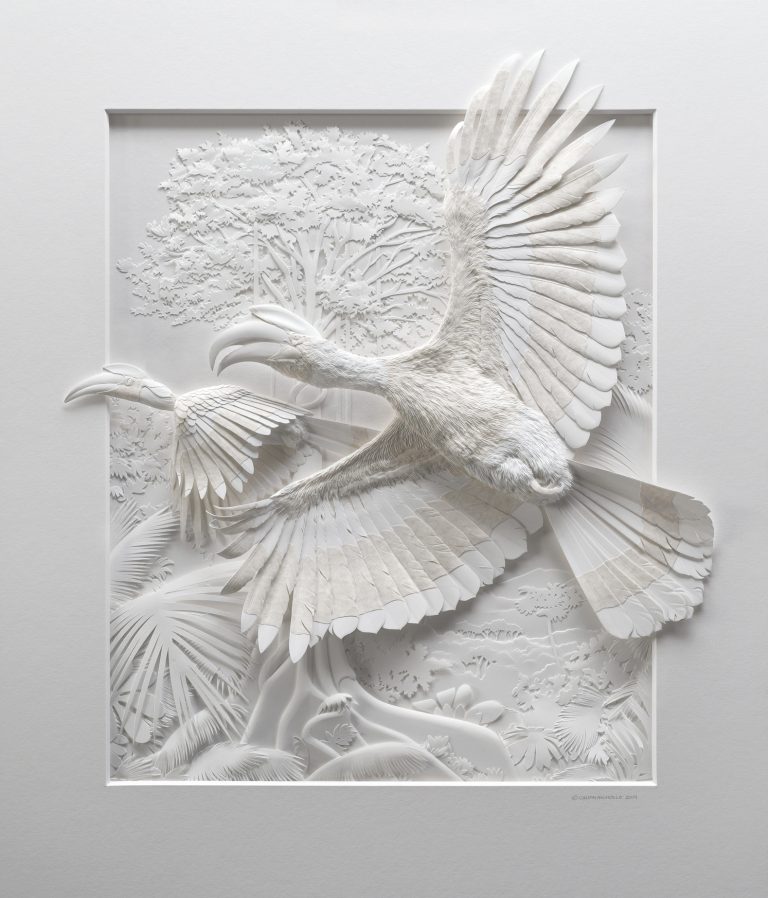 Intricate Paper Animals Spring from Textured Sculptures by Artist Calvin Nicholls