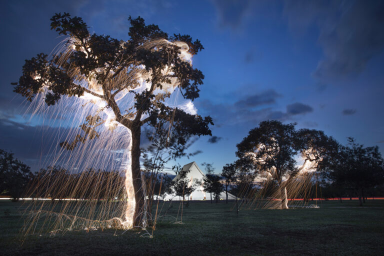 Illuminated Streaks Appear to Fall from Trees in Light Paintings by Photographer Vitor Schietti