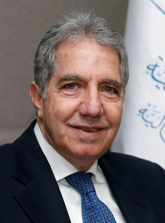 Lebanon must ration subsidies before reserves run out — finance minister