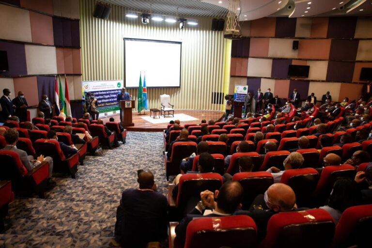 Nile dam talks extended in Kinshasa after draft communique setback