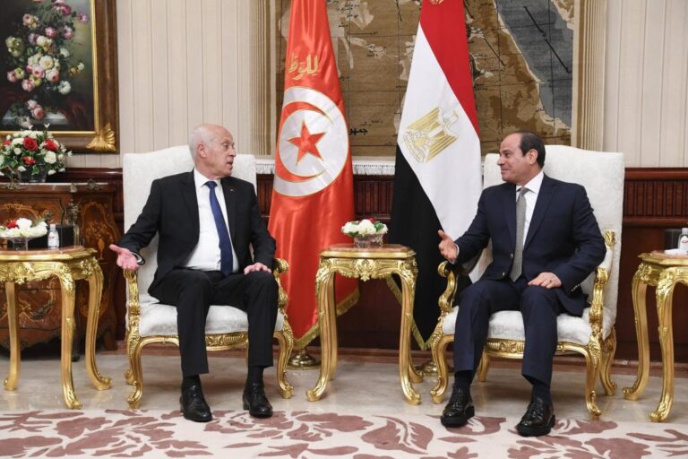Egypt, Tunisia discuss Libya, Ethiopia’s disputed dam