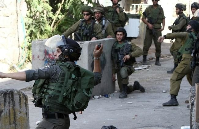 Israeli troops arrest 25 Palestinians in occupied West Bank