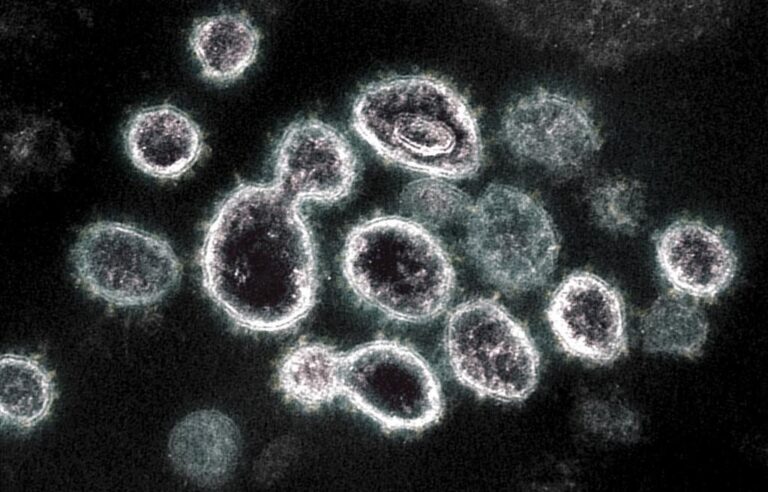 Coronavirus likely to keep mutating: Scientists