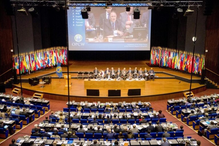 Syria loses chemical weapons watchdog voting rights after poison gas findings