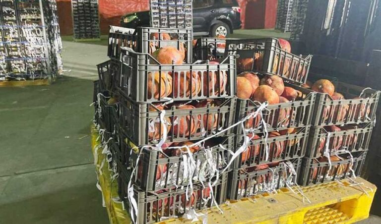 Drug-stuffed Syrian pomegranate shipment entered Lebanon in stages