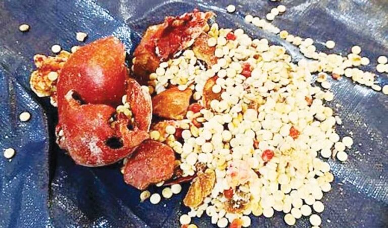 Lebanon condemns ‘all that undermines’ KSA stability, security