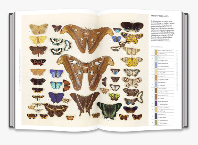 Nature’s Palette: A New Book Expands the Landmark Guide to Color for Artists and Naturalists with 800 Rich Illustrations