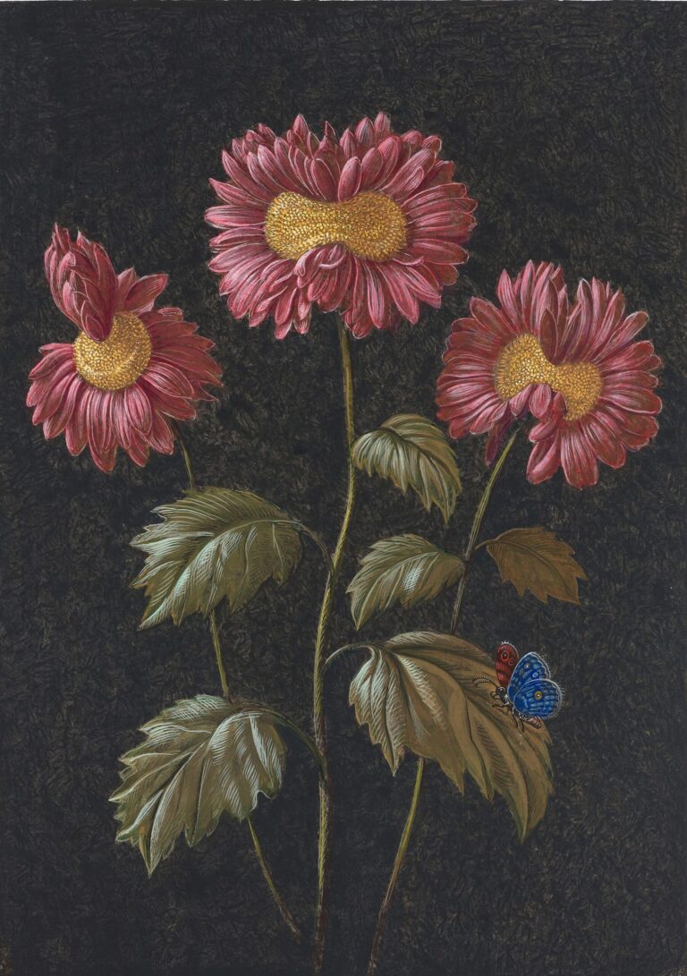 Flowers Mutate into Peculiar Blossoms in 18th-Century-Style Paintings by Laurent Grasso