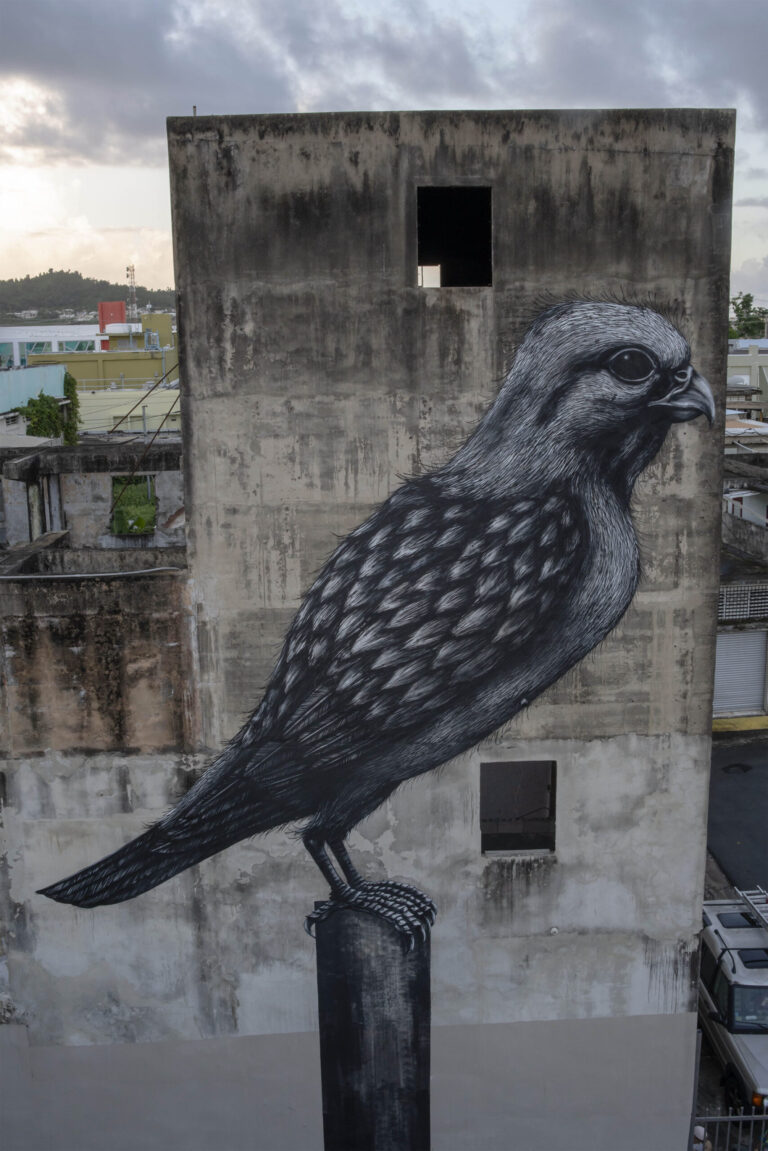 Monumental Murals of Anatomical Creatures by ROA Celebrate Puerto Rico’s Biodiversity