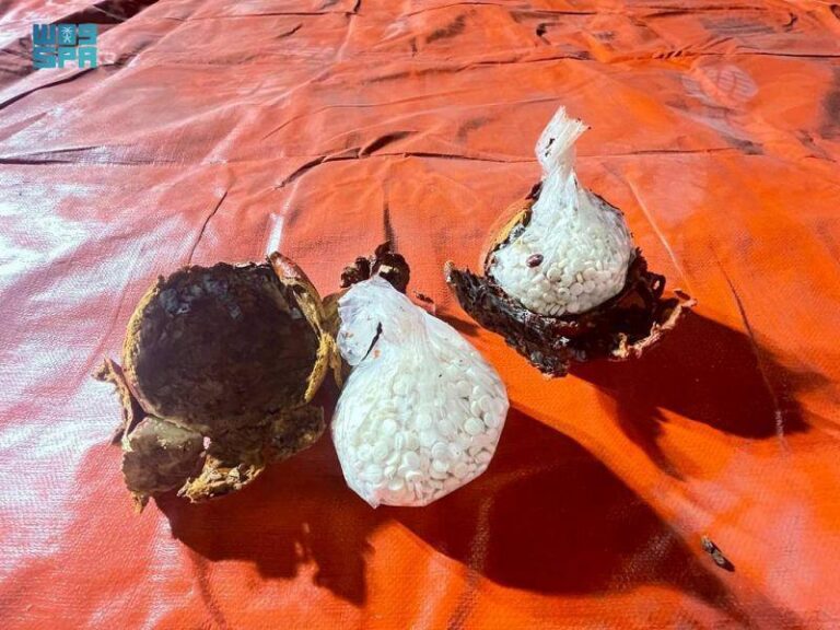 Lebanon arrests two brothers suspected in Saudi drug haul