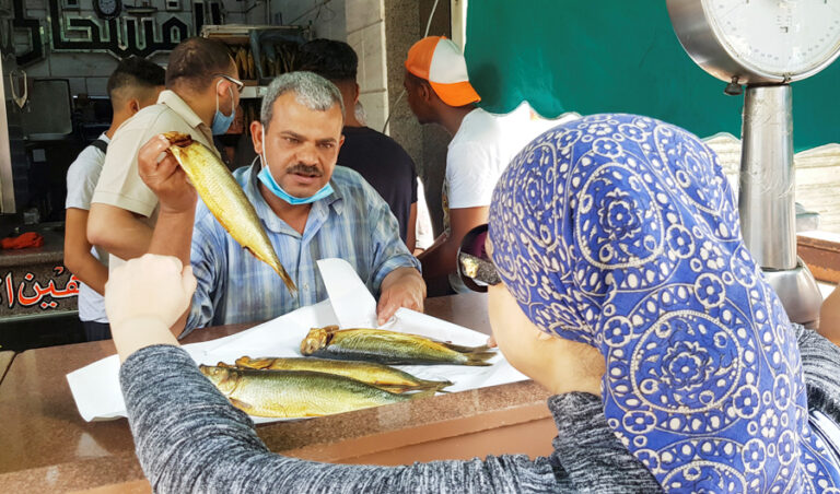 COVID-19: Next 10 days dangerous for Egypt