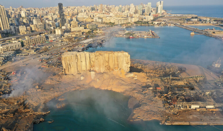 Beirut blast survivor dog gives birth to puppies in the rubble