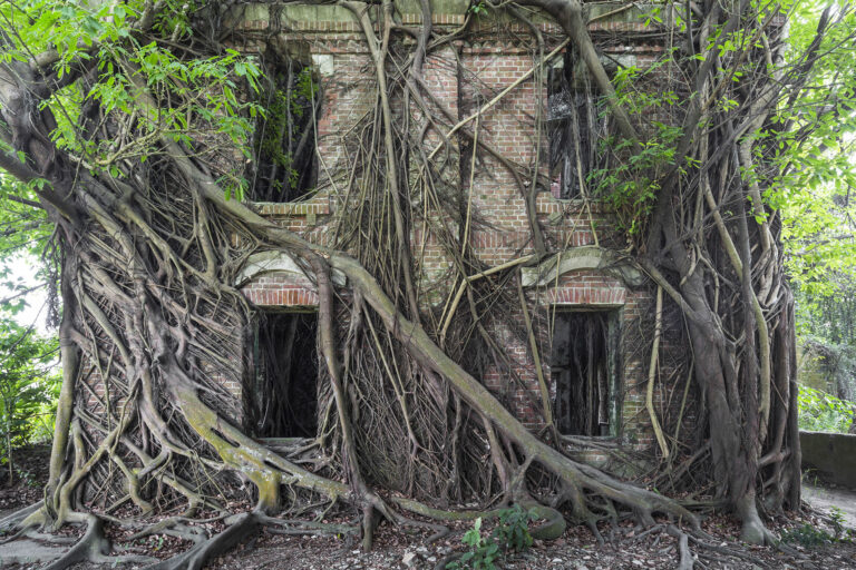 Nature Resurges to Overtake Abandoned Architecture in a New Book of Photos by Jonk