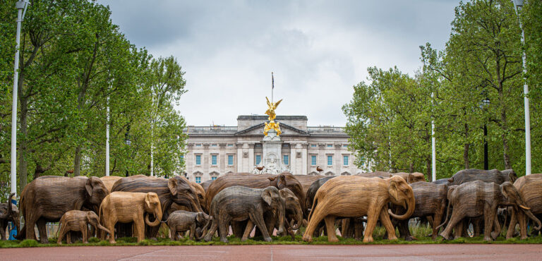 Herds of Life-Sized Elephants Roam Through London’s Parks for a Global Conservation Project