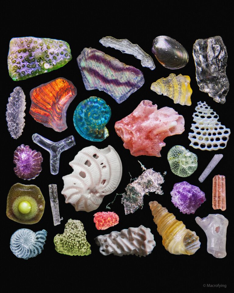 A Colorful Macro Photo of Beach Sand Reveals Infinitesimal Fragments of Coral, Quartz, Shells, and Plastic