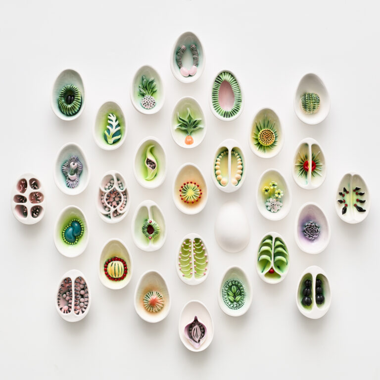 Delicate Cross-Cut Pods Encase Seeds and Other Fruitful Forms in Porcelain