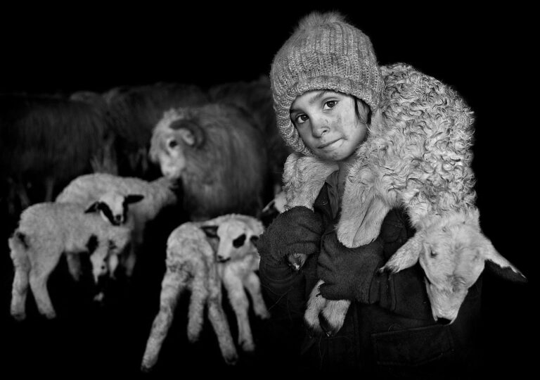 Gripping Portraits Capture the Tender Bonds Between Transylvanian Shepherds and Their Herds