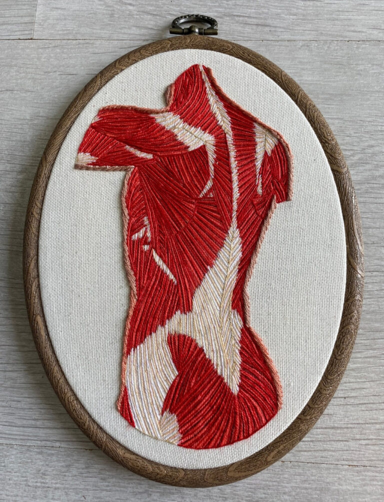 Anatomical Embroideries Use Precise Stitches and Beads to Portray Muscles, Organs, and Bodily Systems