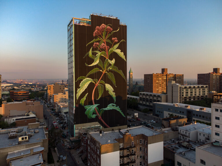 A Monumental 20-Story Wildflower Blooms Above Jersey City in a New Mural by Artist Mona Caron