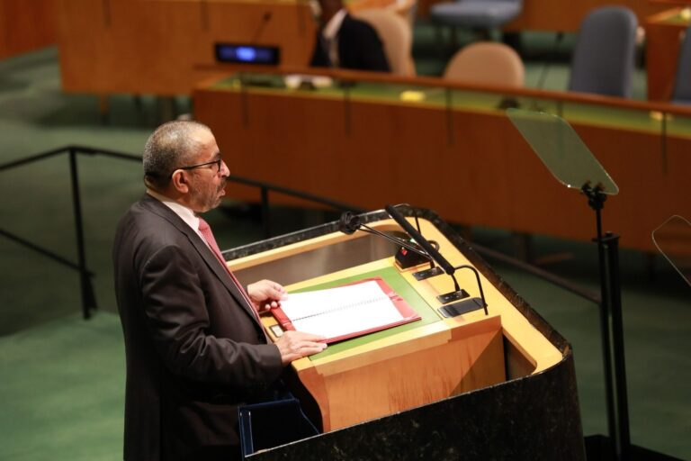 UAE FM rebukes external interference in Arab affairs