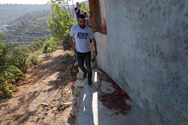 Israeli officers kill woman after Jerusalem stabbing attempt: police