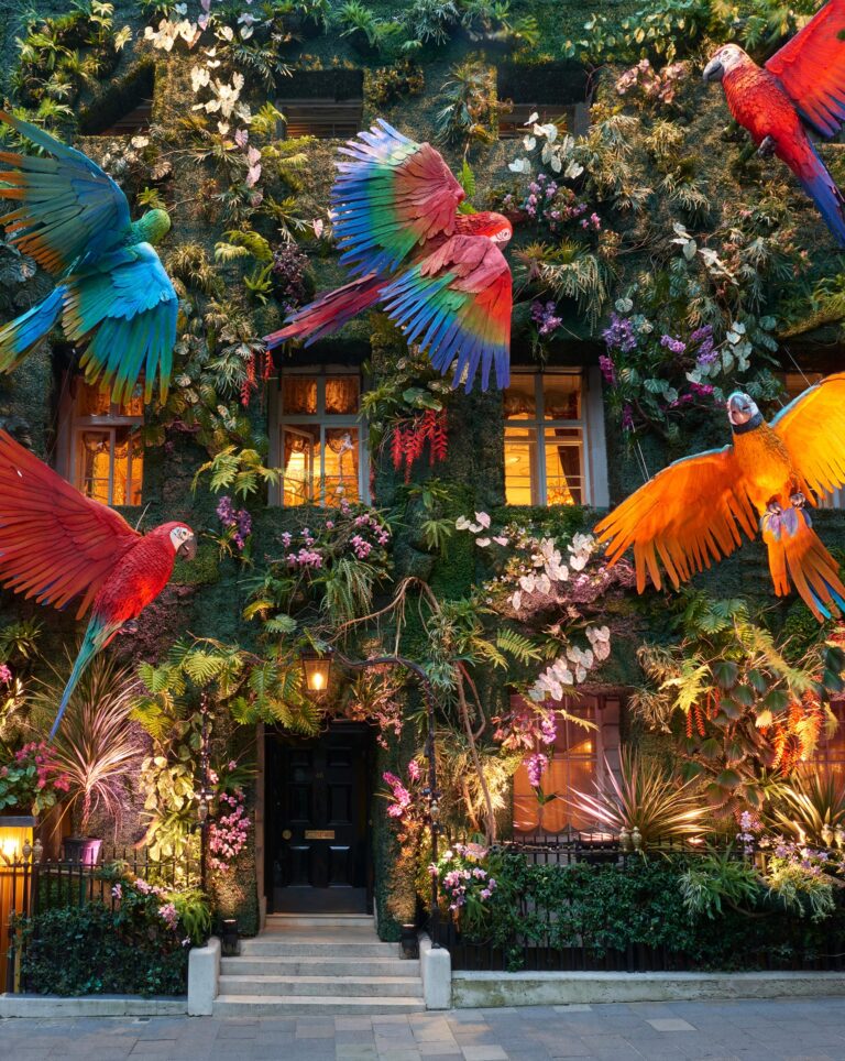 A Verdant Rainforest Lush with Plants and Giant Macaws Blankets Annabel’s Facade in London