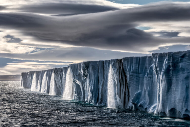 Origins: Striking Photos Document the Sights of Contemporary Conservation Efforts