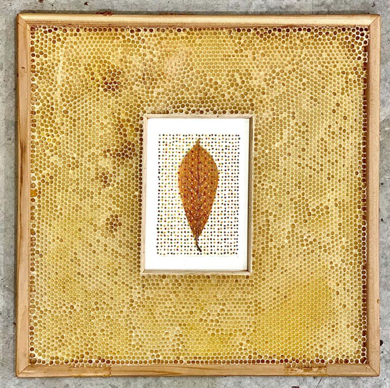 Bees Embed Ava Roth’s Organic Mixed-Media Artworks in Waxy Honeycomb