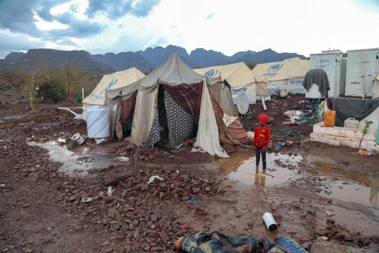 Egypt affirms support for political solution to Yemeni crisis