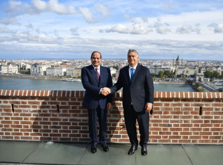 Stability in conflict-hit nations key to tackling illegal immigration to Europe: El-Sisi