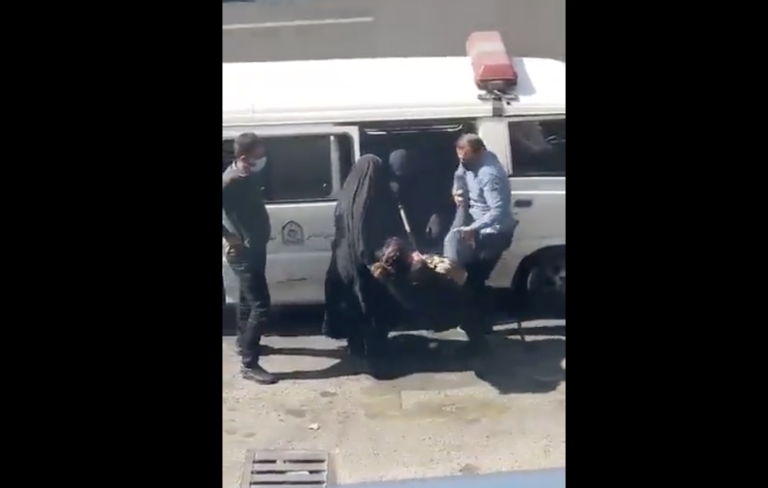 Footage shows violent arrest of Iranian woman with dog-catching pole