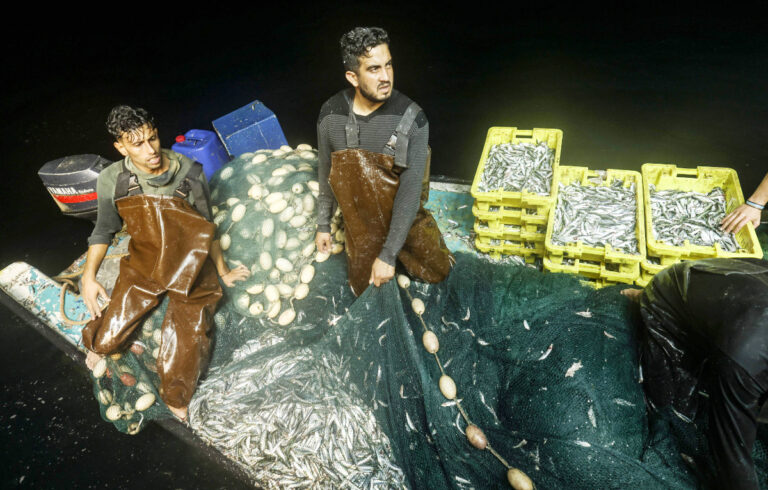 Gaza fish restaurants thrive far from the foodie trail