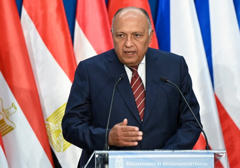 Egypt reiterates call for all foreign forces to leave Libya