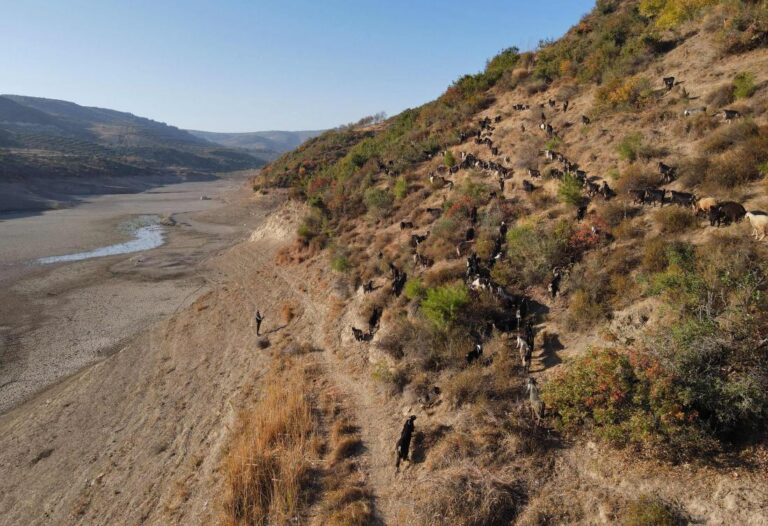 Syria reservoir dries up for first time