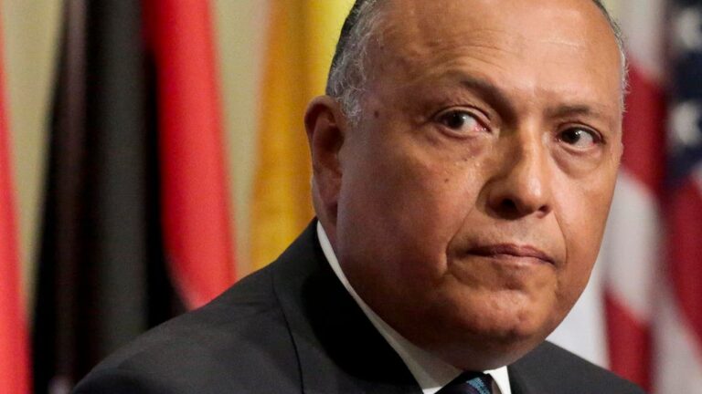 Egyptian foreign minister discusses Libyan elections, Sudan at media briefing