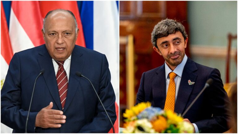 Egypt, UAE FMs discuss bilateral ties, regional developments