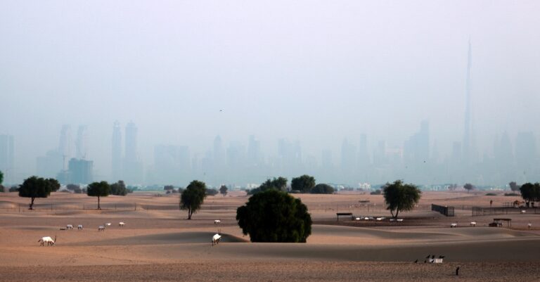 UAE announces new protocols for GCC visitors traveling through land ports