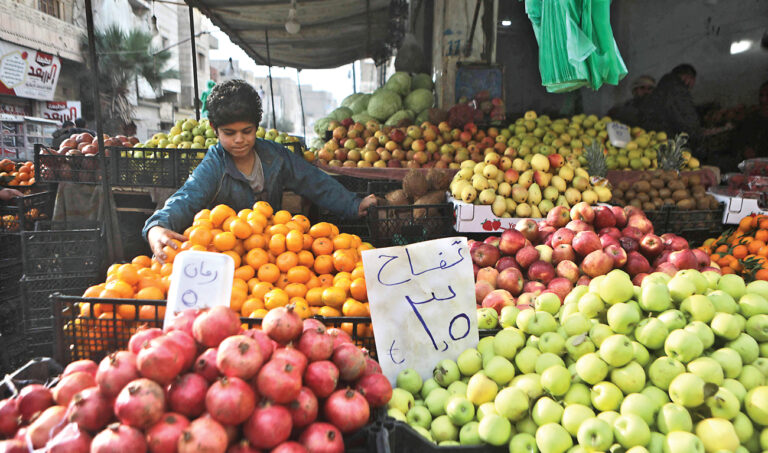 Turkish lira collapse piles misery on northern Syria