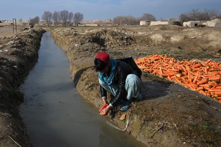 UN Security Council adopts resolution to ease Afghan aid