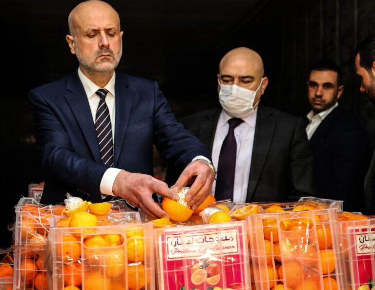 Lebanon seizes Captagon shipment in fake oranges